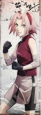 Amazon.co.jp: NARUTO ナルト 疾風伝 キャラポスコレクション 第弐弾